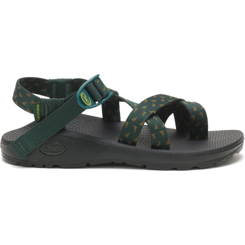 Sandales Chaco Z/Cloud 2 Femme Vert | 950617-DCY