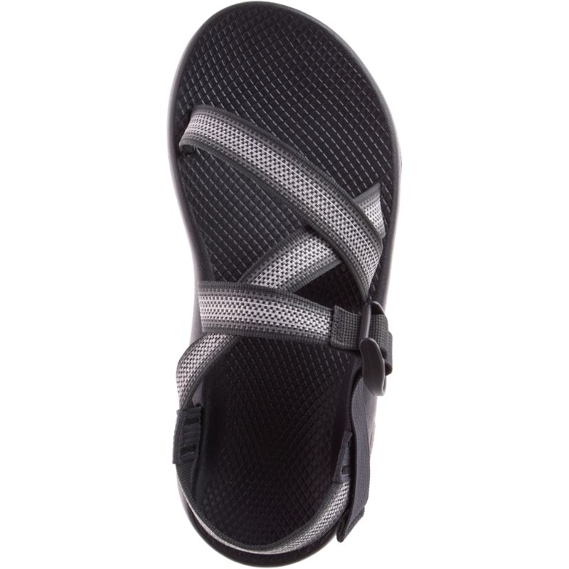 Sandales Chaco Z/1® Classiche Homme Grise | 592078-NZE