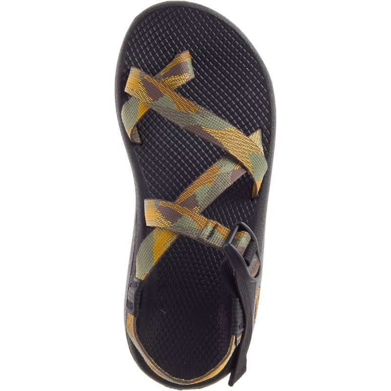 Sandales Chaco Z/Cloud 2 Homme Doré | 054173-IZX